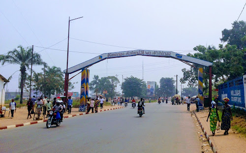 Kasaï-Central : une maladie inconnue décime plus de 10 000 chèvres à Dibaya, alerte l’organisation SECODEC.